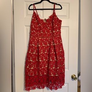 Red lace midi dress - size 16. BRAND NEW WITH TAGS. Never worn!